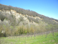 Clicca per Ingrandire